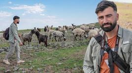 Dünya Diyarbakırlı çobanı konuşuyor! Her şey 2 yıl önce aldığı kararla değişti