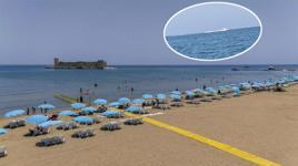 Plajda köpek balığı korkusu! Sahil boşaltıldı gerçek ise bambaşka çıktı