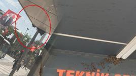 Bir anda binlercesi geldi! Bir kenti istila ettiler: Esnaf dükkanlarını kapatıp kaçtı
