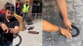 Eve giren yılanı yakalamak isterken parmağını kaptırdı