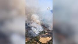 Balıkesir'de çıkan orman yangınına müdahale ediliyor