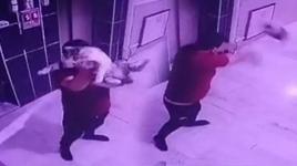 Konya’da vahşet! Hamile kediyi kameraya gösterip yere fırlattı