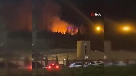 Konya'da atılan havai fişek ağaçlık alanı yaktı