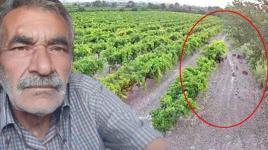 Hırsızlara karşı kamera koydu, görüntüyü izleyince şoke oldu! ‘Çok dikkatli olmalıyız’