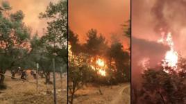 Orman yangınında dehşet anları kamerada: Abi çıkmamız lazım, ortada kaldık