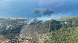Muğla'nın Ortaca İlçesi Sarıgerme Mahallesi'nde orman yangını