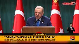 Erdoğan'dan orman yangınlarıyla ilgili son dakika açıklaması: 51 ilde AFAD devreye girecek!