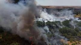 Kırklareli’nde ağaçlık alanda yangın! Avrupa Otoyolu trafiğe kapandı