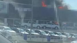 Pendik'te sıfır araç bayisinde yangın çıktı