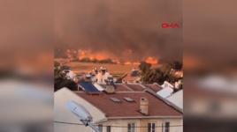 Edirne'de orman yangını
