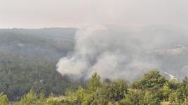 Mersin'in 2 ilçesinde orman yangını! 7 mahalle boşaltıldı