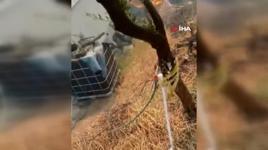 Yurdun dört bir yanında alevlerle mücadele! Yangın köye indi: Kaç artık hiçbir şey yapamayız