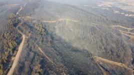 Gelibolu’daki yangının izleri havadan görüntülendi! Çanakkale ormanları küle döndü