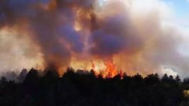 Karabük 48 saattir yanıyor! Alevler köylere sıçradı