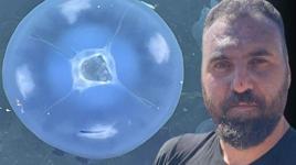 Marmara'da hortladı, kabusa dönüştü: Balıkçılık bitti artık