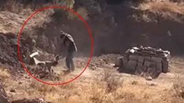 Sivas’ta vahşet! 4 aylık yavru köpeğin başına sopayla defalarca vurdu