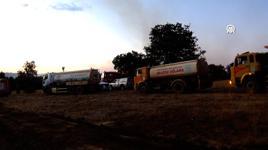 Konya'da sazlık alandaki yangın ormana sıçradı