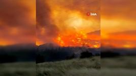 Bursa'da orman yangını...Rüzgarın etkisiyle büyüdü