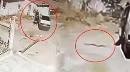 Seyir halindeki araçta yılan paniği! Otomobil durmadan dışarı atladı