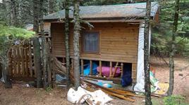 Uludağ’da 18 barakaya ayı saldırısı! Yiyecek kokusuna geldiler