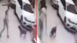 İzmir'de dehşete düşüren olay! Kemerini çıkartıp köpeğe defalarca vurduv