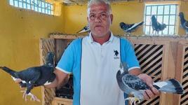 Kayıp güvercinlerini bulana ödülü 100 bin liraya çıkardı: Çocuğum gibi bakıyordum