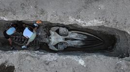 Mersin'de toprak altından çıkarılıyor! Tam 14 metre uzunluğunda