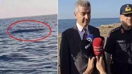 Karadeniz'de bir haftada ikinci kez görüldü! Vali: Yaklaşmayın, dokunmayın