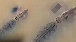 Nehirdeki gizli katil kamerada! Banyo yapan kadına timsah şoku