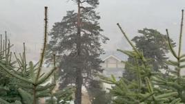 Bolu'nun yüksek kesimlerine kar yağdı