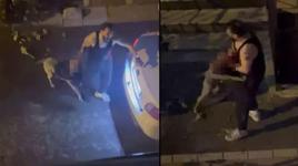 Çığlıkları ortalığı inletti! Pitbull cinsi köpek, sahibini ısırdı