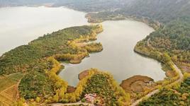 Suyu çekilince ikiye bölünen Eğirdir Gölü, hayvanların otlağı oldu