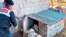 Van'da kurdu zincirle bağlayan kişiye 81 bin TL ceza