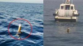 Karadeniz'de ortaya çıktı, balıkçılar görüntüledi! Salyangoz avında şaşkına çeviren olay