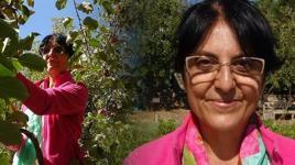 Türkiye'deki 'stratejik nokta' deyip işe başladı: 10 milyon dolar para gelecek