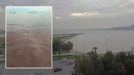 Körfez yine kahverengi! Kötü koku İzmir sahillerini esir aldı