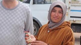 Mantar toplayan kadın, dünya tarihine geçen bir keşif yaptı!