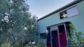 Evinin pencerelerini, 3 bin yıllık zeytin ağacını görüp güne başlayacak şekilde tasarladı