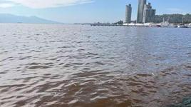 Deniz kahverengiye döndü, koku dayanılmaz hale geldi