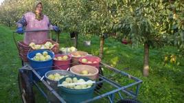 Devlet desteğiyle 21 yıl önce üretime başladılar