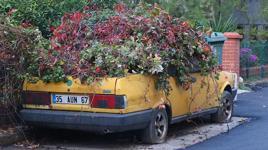 8 yıldır sarmaşıkların arasında kaybolmuştu! İzmir’deki gizemli araba için harekete geçildi