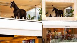 Bu “kahve” çok konuşulur! Espressolab’ın animatronik kahvesi