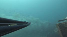 Çanakkale Boğazı'nda denize dökülen pis su, dalgıç kamerasında