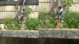 Hayvanat bahçesinde aslanın kafesine girdi, feci şekilde hayatını kaybetti