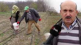 Emekli oldu, deneme amacıyla ekti tüm hayatı değişti! ‘Gramı 600, kilosu 2.500 TL’