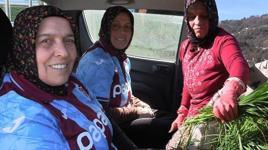 Yaylada inek sağan kadınlar, tribünde VIP ağırlanıyorlar! 'Maç hastası oldular'