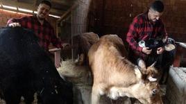 Sisteme dayanamadı kariyeri 'sıfır'ladı: Almanya'da robot olacağıma köyümde çoban olurum