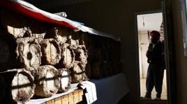 Dünyanın en pahalı ürünü evinin odasından çıkıyor! ‘Kilosunu 10 bin TL’den satıyoruz’