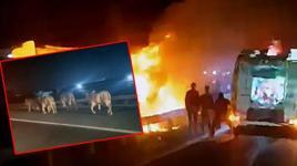 Anguslar alev alan TIR’dan kaçtılar! Hatay otoyolunda yangın dehşeti kamerada