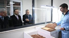 Sakarya’da 52 milyon dolarlık dev proje: Fındık kabuğundan aktif karbona